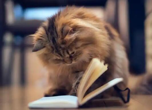 雅思寫(xiě)作：這三類(lèi)問(wèn)題你有沒(méi)